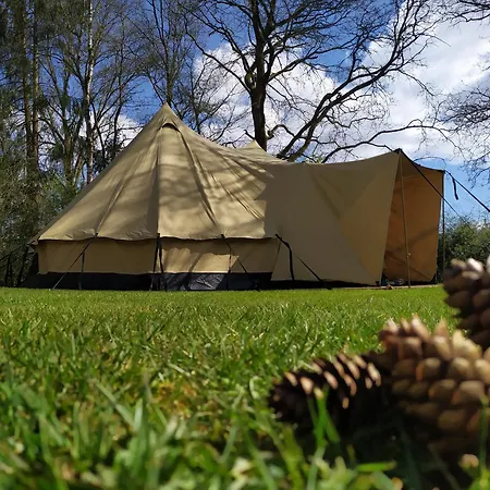 Tent-ok Lyxtält *