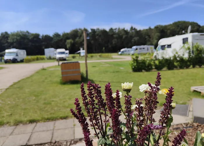 Tent-ok خيمة فخمة روخيل