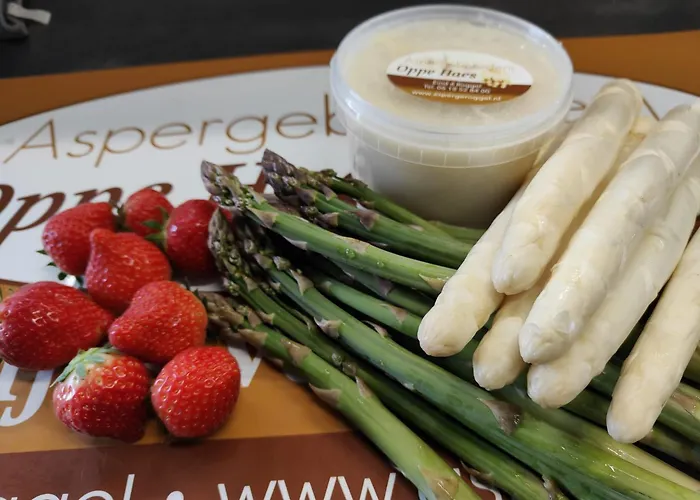 Tent-ok * روخيل