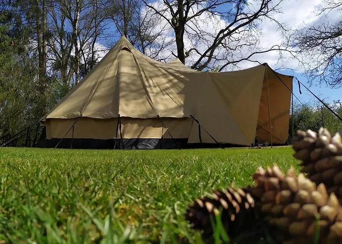 Tent-ok خيمة فخمة *