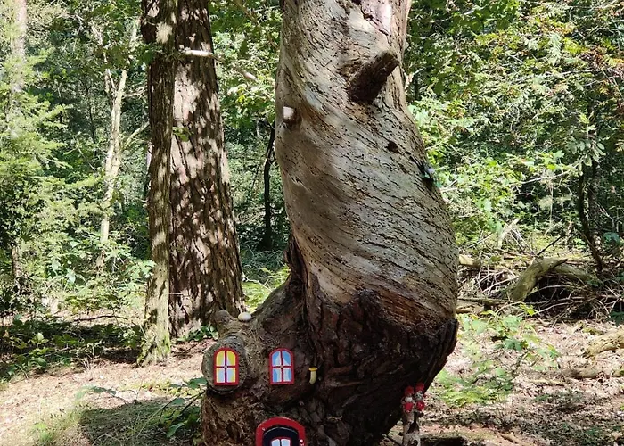 Tent-ok * روخيل